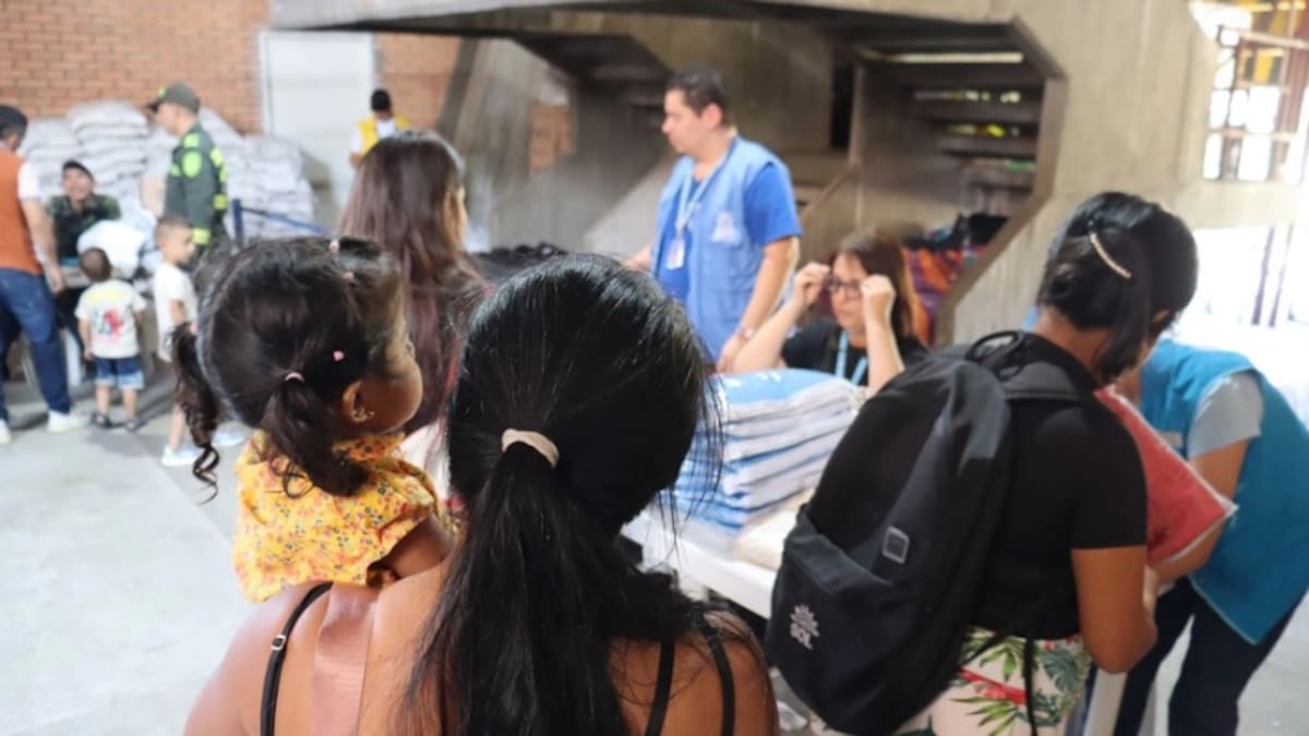 Catatumbo: un año de crisis que ha dejado más de 90 mil desplazados y 166 personas asesinadas