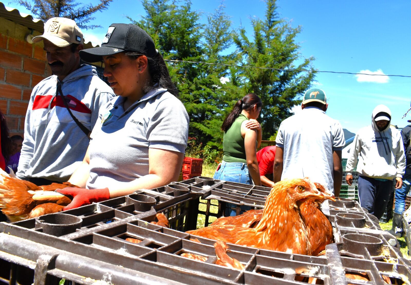 Entrega de insumos para proyectos productivos. Foto: Unidad para las Víctimas