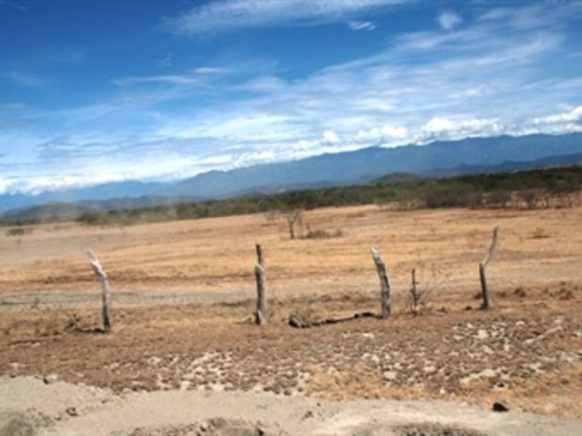 Cuencas lecheras del país sufren por el verano: Minagricultura