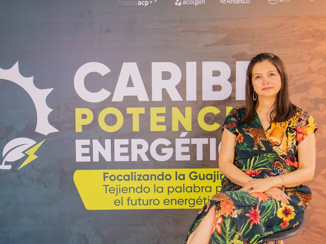 Ana María Uyazán, coordinadora de proyectos energéticos de AECOM. | Foto: Caracol Radio