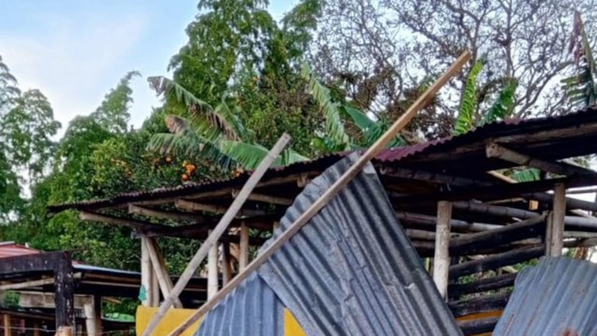 Vendaval y vientos fuertes causaron afectaciones en zona rural de Neira, Caldas