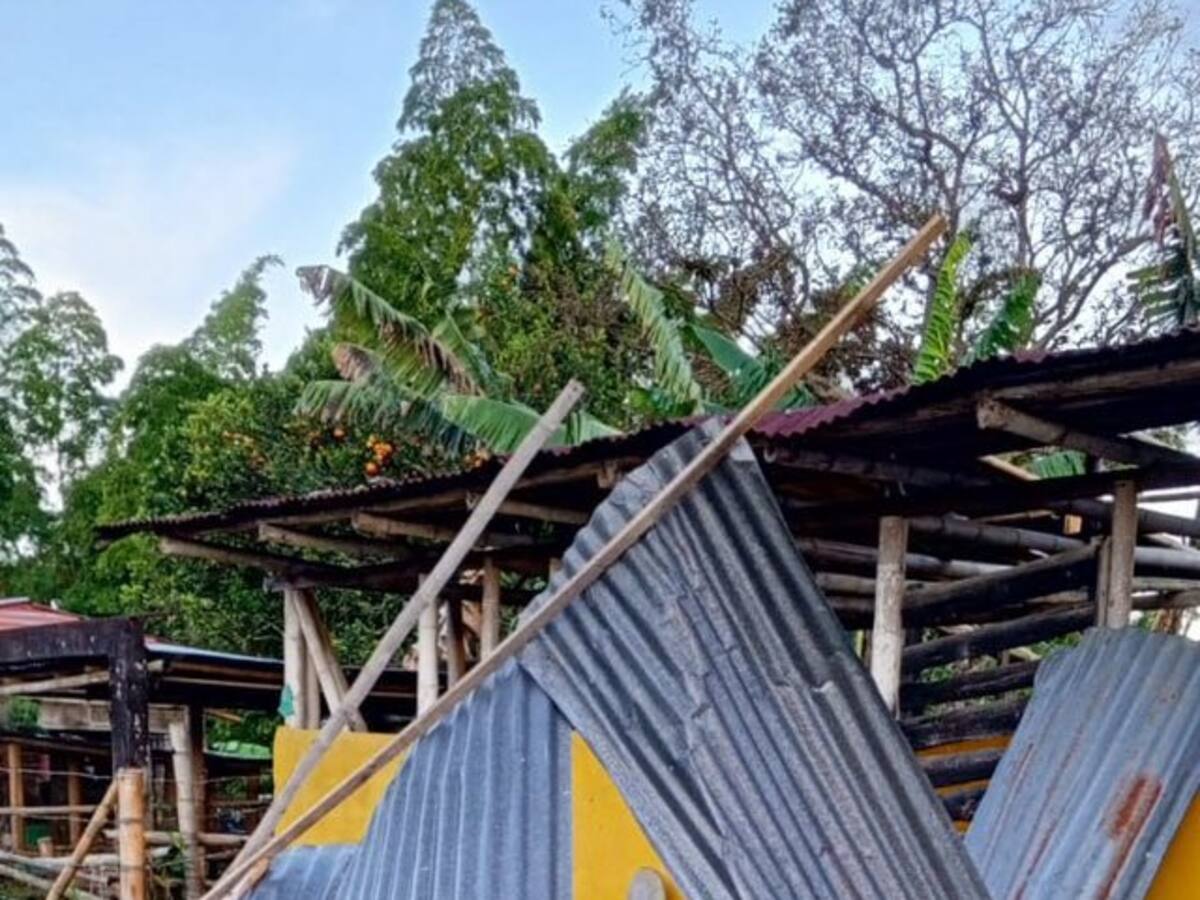 Vendaval y vientos fuertes causaron afectaciones en zona rural de Neira, Caldas