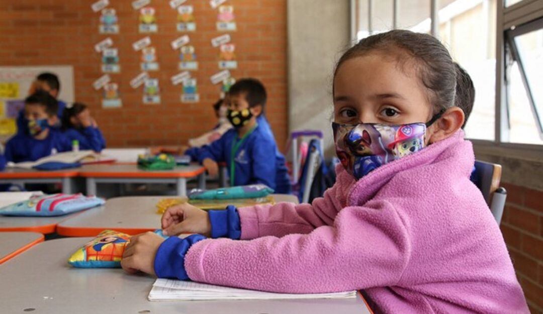 Imagen de referencia 