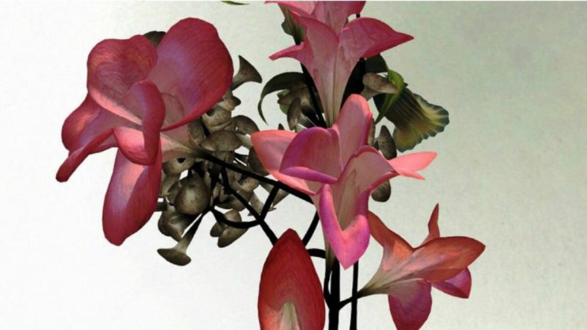 Para la elaboración de cada pieza se utilizan dos fórmulas matemáticas. La primera genera la forma de las flores, la segunda se encarga del color y la “textura”.