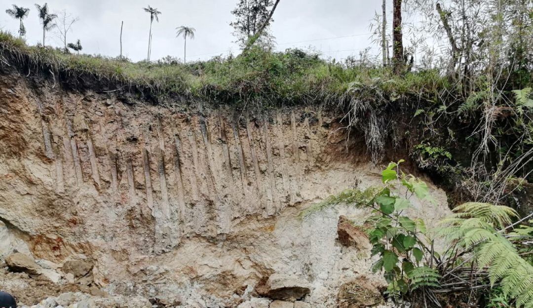 Destruyen mina ilegal de oro en el sur del Cauca