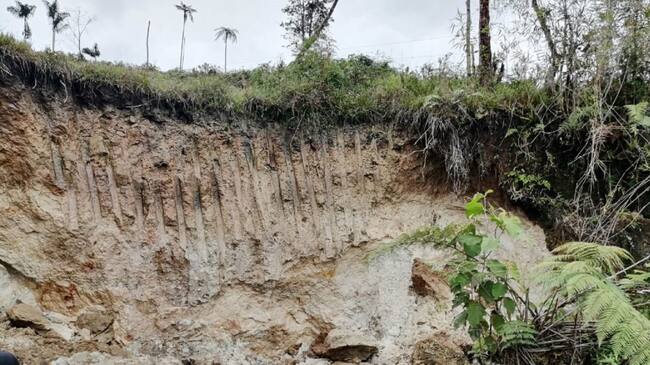 Destruyen mina ilegal de oro en el sur del Cauca