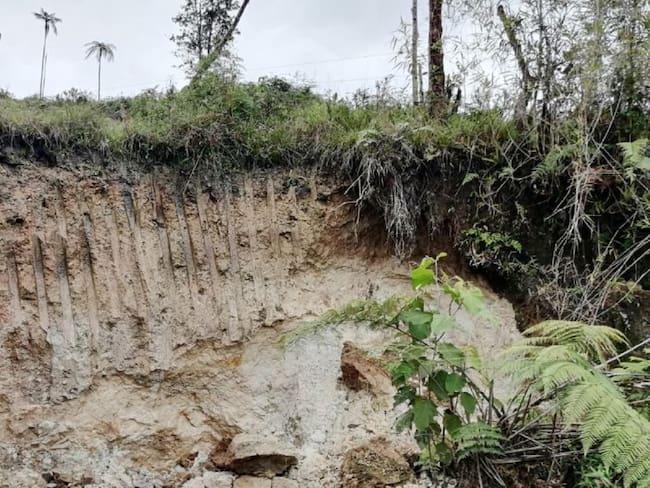 Destruyen mina ilegal de oro en el sur del Cauca