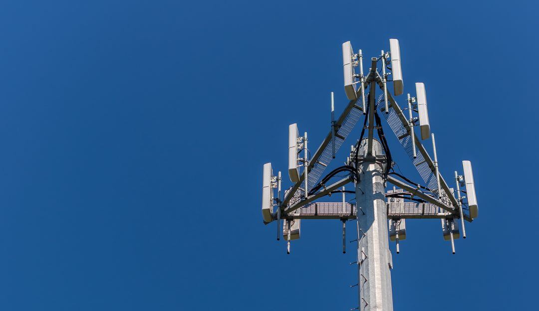 imagen de referencia