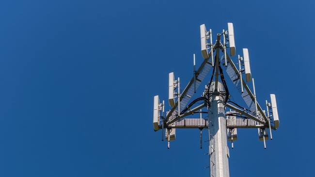 imagen de referencia