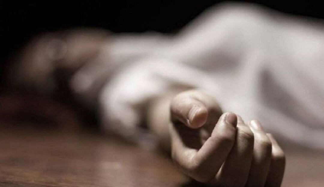 Imagen de referencia