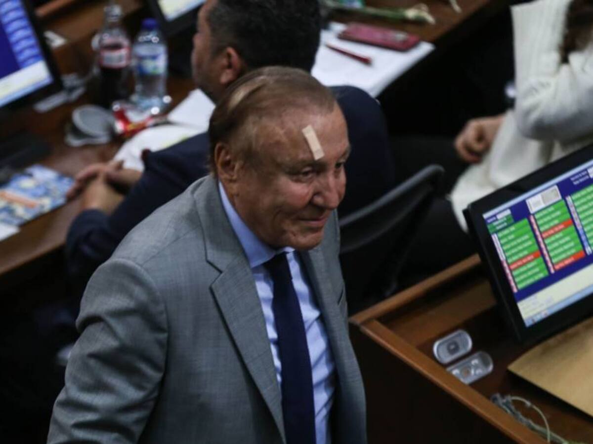 "Se convirtió en un partido de solo familia": arremeten contra partido de Rodolfo