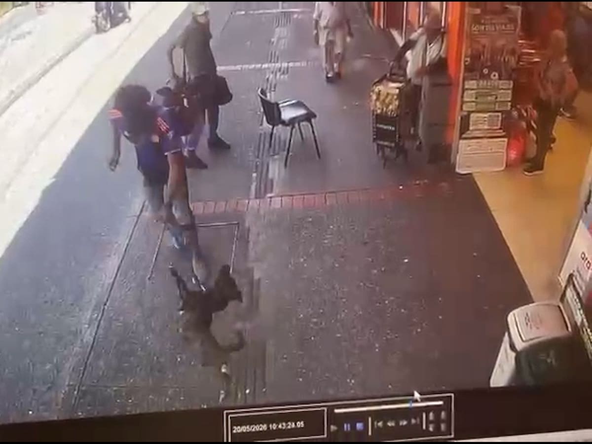 Un hombre es capturado en Caldas por maltrato animal, la víctima era ‘Niña’, una canina de 11 meses