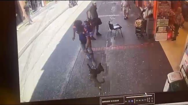 Hombre maltratando a un canina en el centro de Chinchiná registrado en una cámara de seguridad. Foto: Policía Caldas.