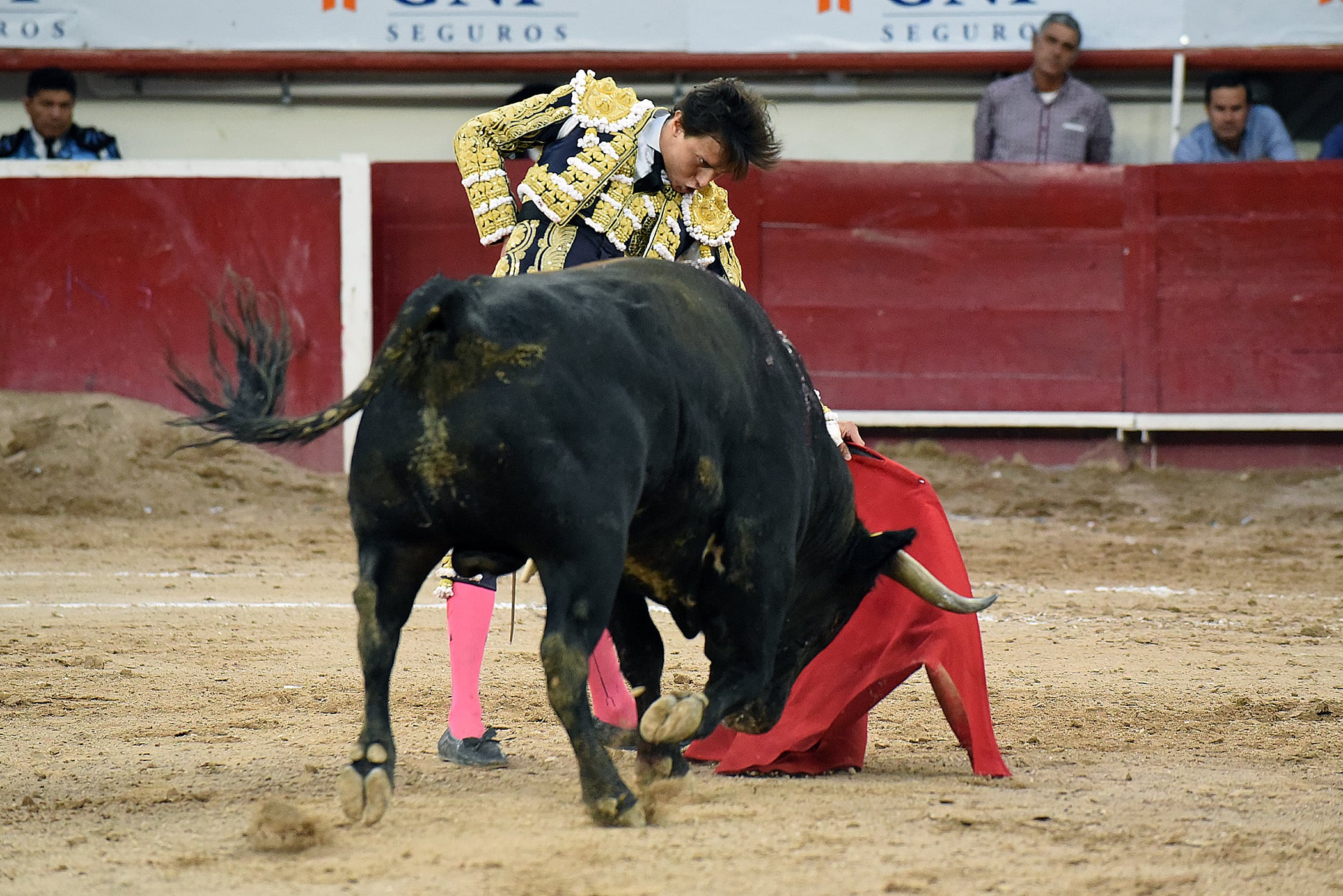 Corridas de toros. Foto: EFE/Tadeo Alcina