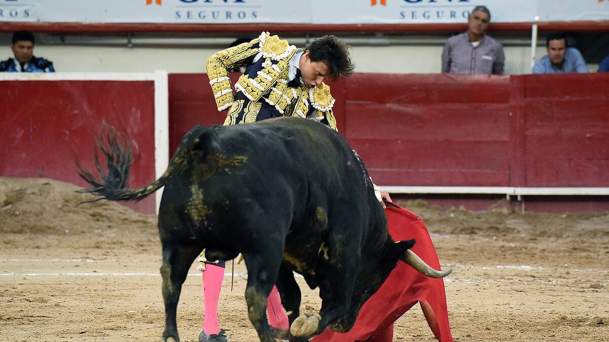 Corridas de toros en Colombia: ¿qué falta para que el Congreso apruebe su prohibición?