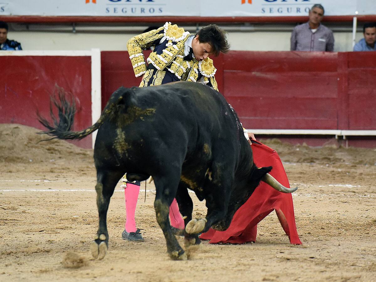 Corridas de toros en Colombia: ¿qué falta para que el Congreso apruebe su prohibición?