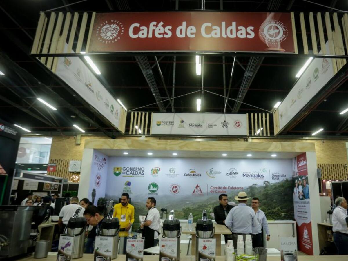Producción de café en julio reportó una caída del 8%