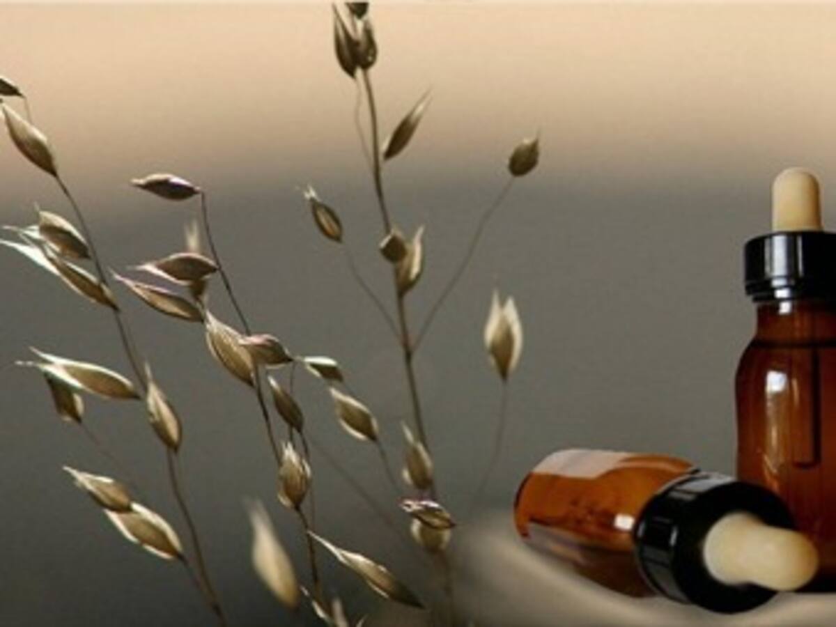 Arranca curso de esencias florales del doctor Santiago Rojas