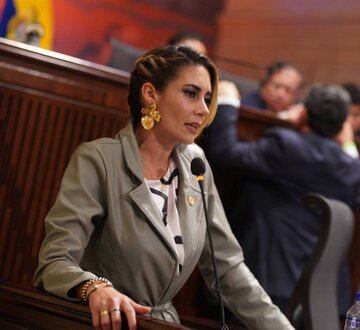 Representante Erika Tatiana Sánchez (Foto: Twitter)