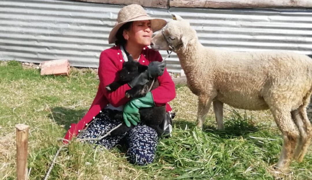 Defensora de las artesanías con lana de oveja