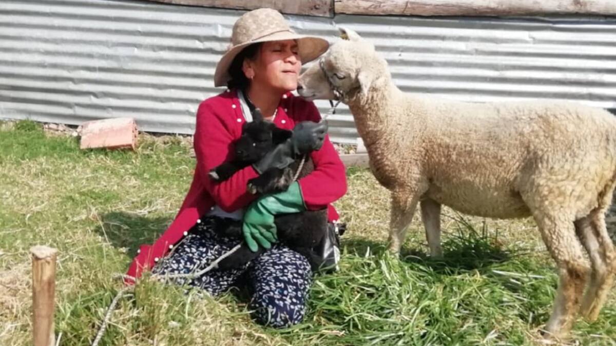 Boyacá reactivará artesanos ‘On Line’ aprovechando el aislamiento selectivo
