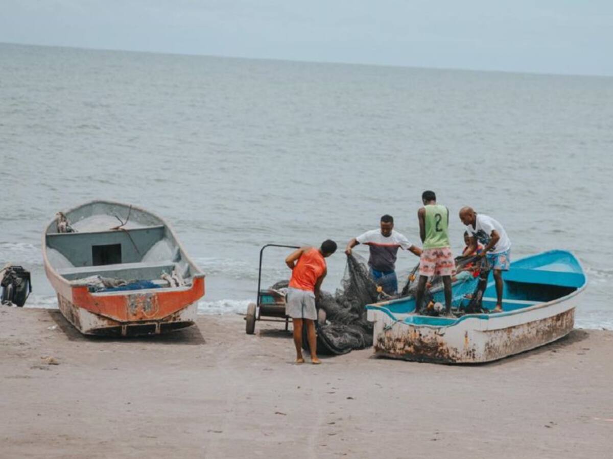 ANT apela sentencia que anuló título colectivo de La Boquilla en Cartagena