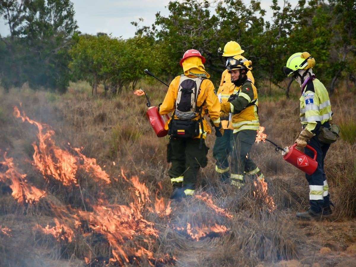 Mujeres del mundo se entrenan en Colombia para proteger ecosistemas de incendios forestales