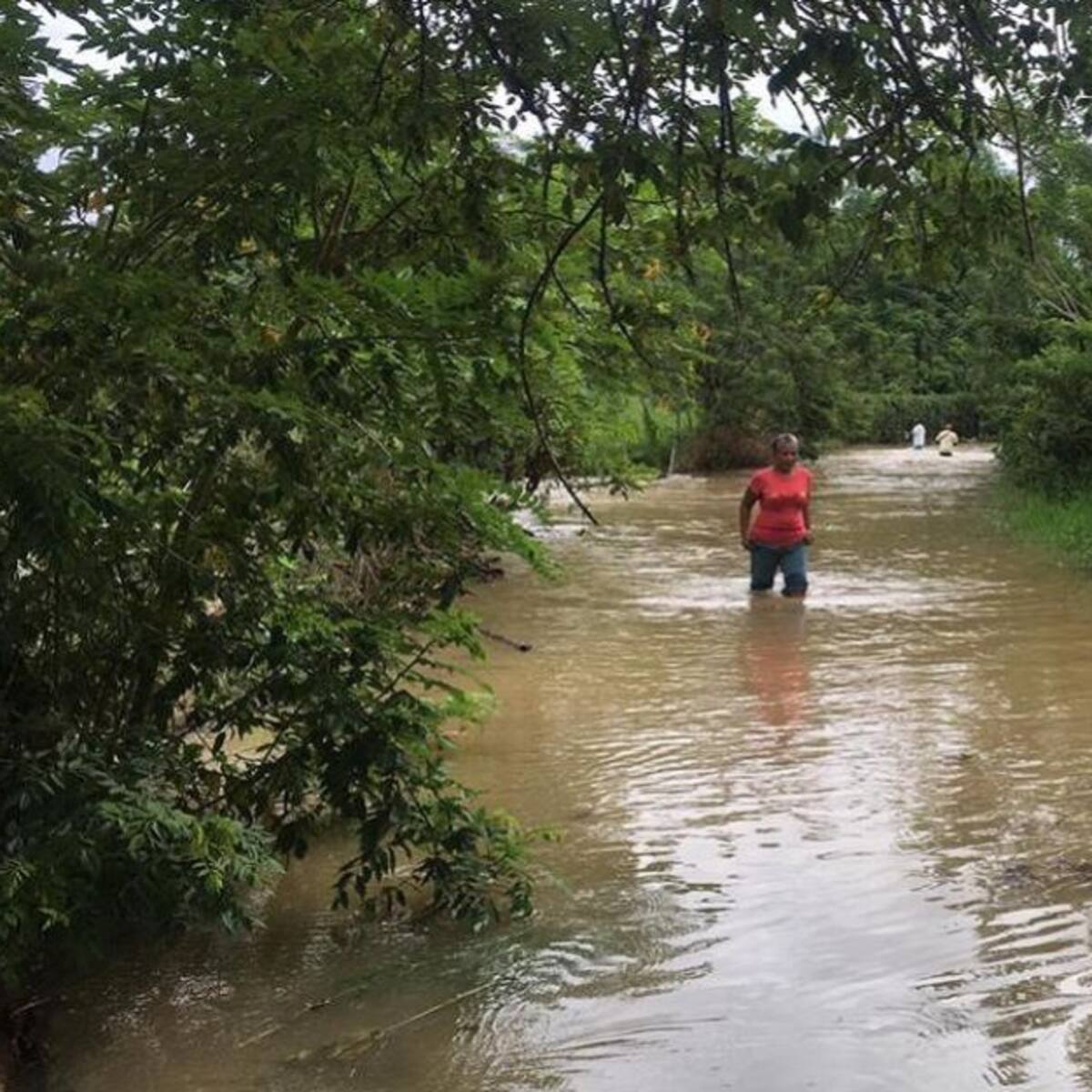Por incremento de lluvias en el Valle del Cauca declaran alerta amarilla