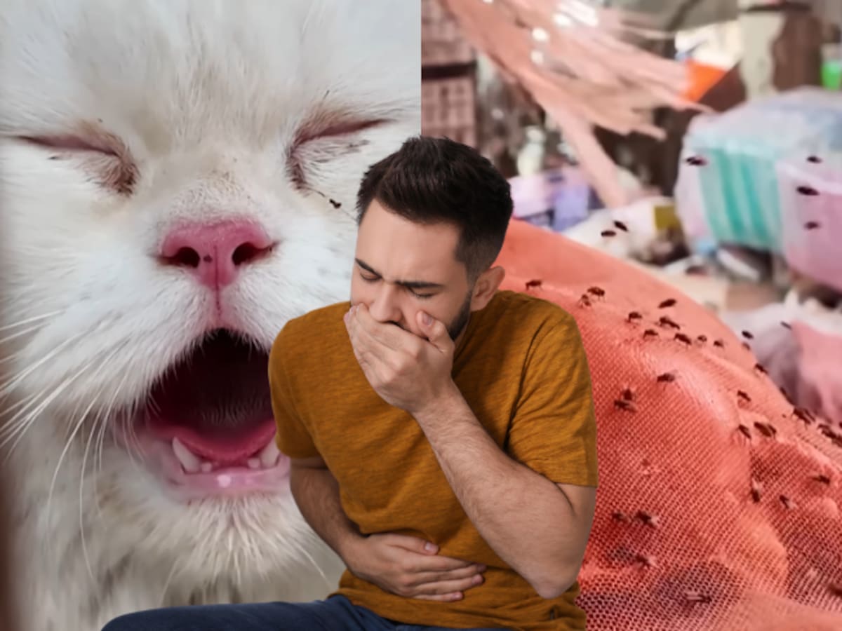 Este es uno de los mercados más sucios del mundo, colombiano relata su experiencia