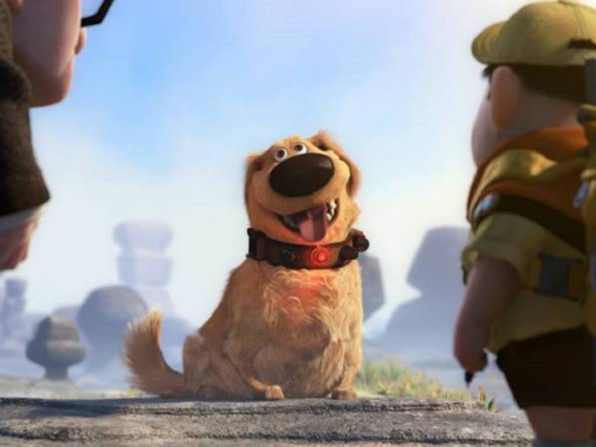 El dispositivo que le permitirá comunicarse con su perro