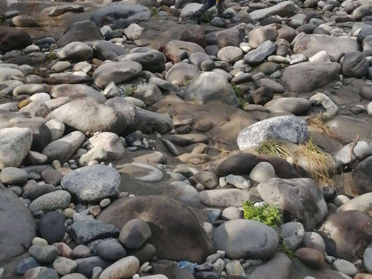 Recuperan cuerpos de turistas bogotanas que fallecieron en paseo de olla en el Tolima