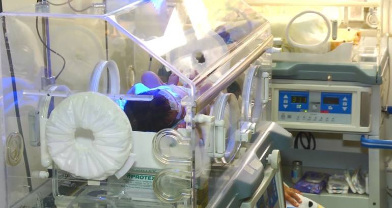 Imagen de referencia