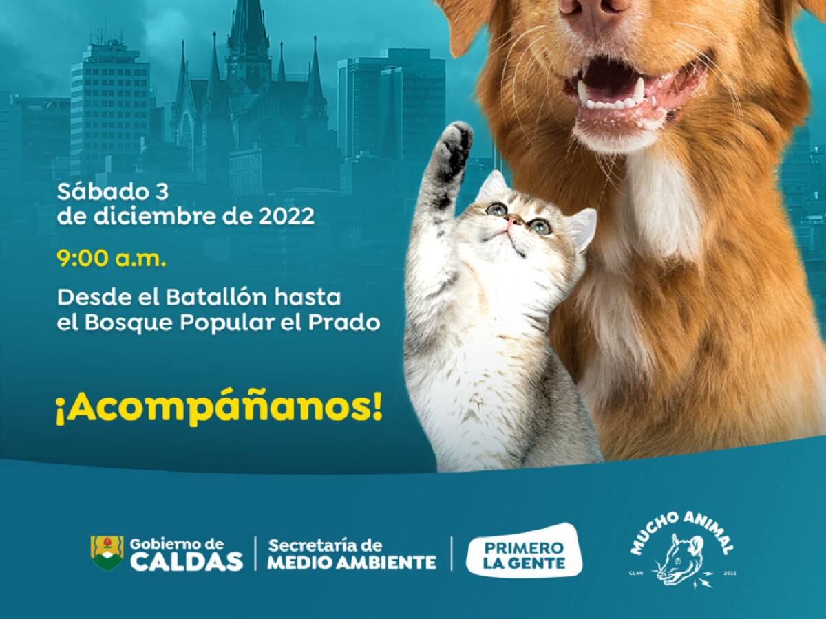 En Manizales marcharán por el buen trato de los animales