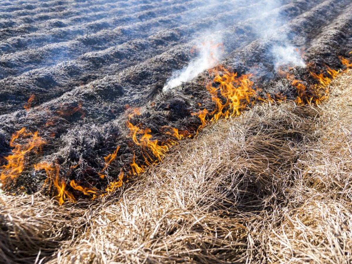 Expansión de la frontera agropecuaria