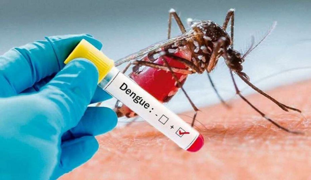 Norte de Santander avanza en plan de control del dengue
