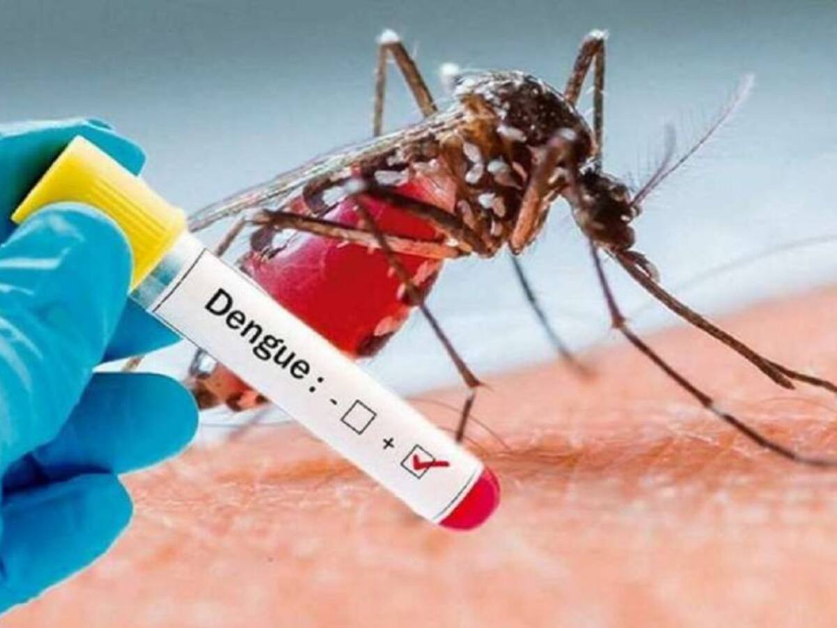 Norte de Santander avanza en plan de control del dengue