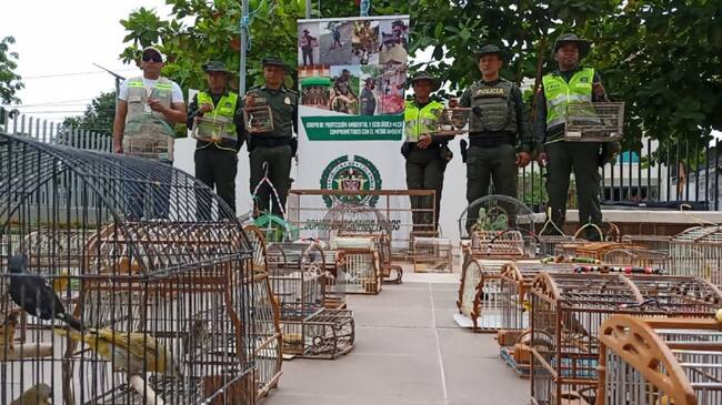 Estos animales tendrían un valor ecológico de 40 millones de pesos aproximadamente.