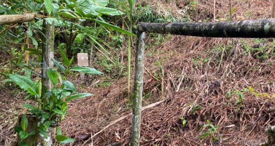 Esta era la zona en la que alias 'Poliéster' afinaba su puntería para cometer delitos.