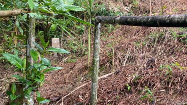 Esta era la zona en la que alias 'Poliéster' afinaba su puntería para cometer delitos.