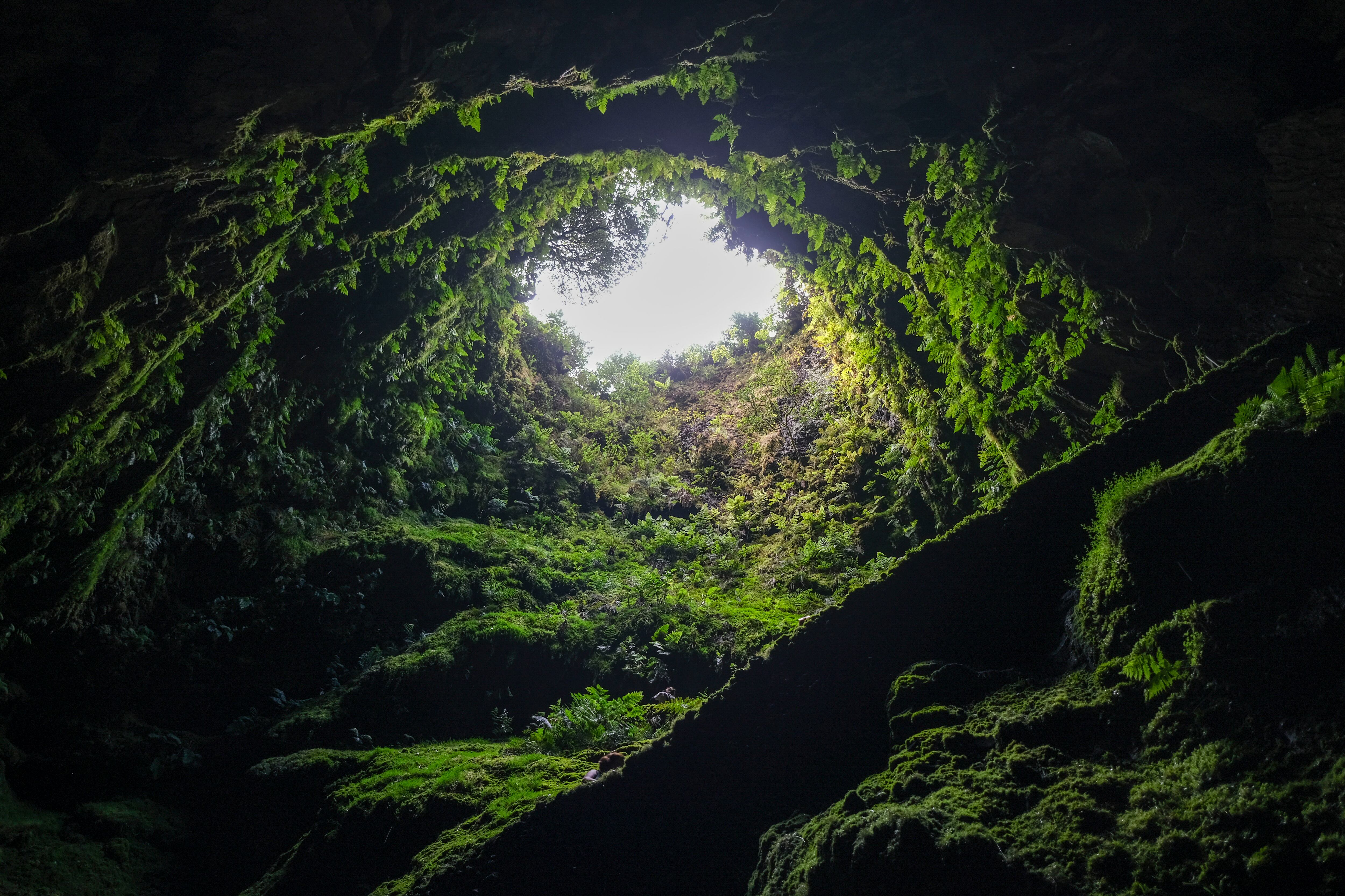 PRODUCTION - 23 September 2024, Portugal, Angra Do Heroismo: The Algar do Carvao cave, made of volcanic rock with mosses and lichens, is a regional natural monument. It is a volcanic chimney 100 meters deep. Photo: Jens Kalaene/dpa (Photo by Jens Kalaene/picture alliance via Getty Images)