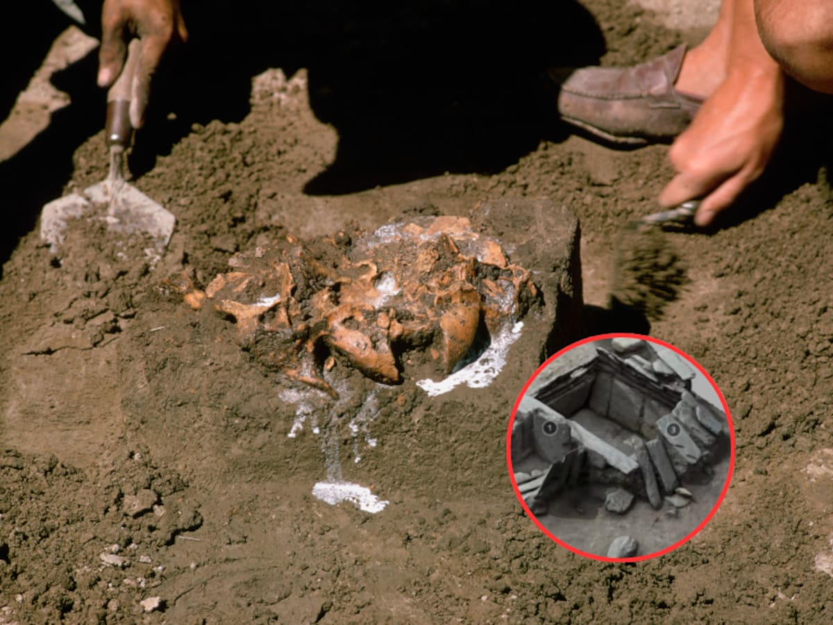 Descubren tumbas de más de 2.400 años de antigüedad en Tolima: ¿cómo eran las prácticas funerarias?