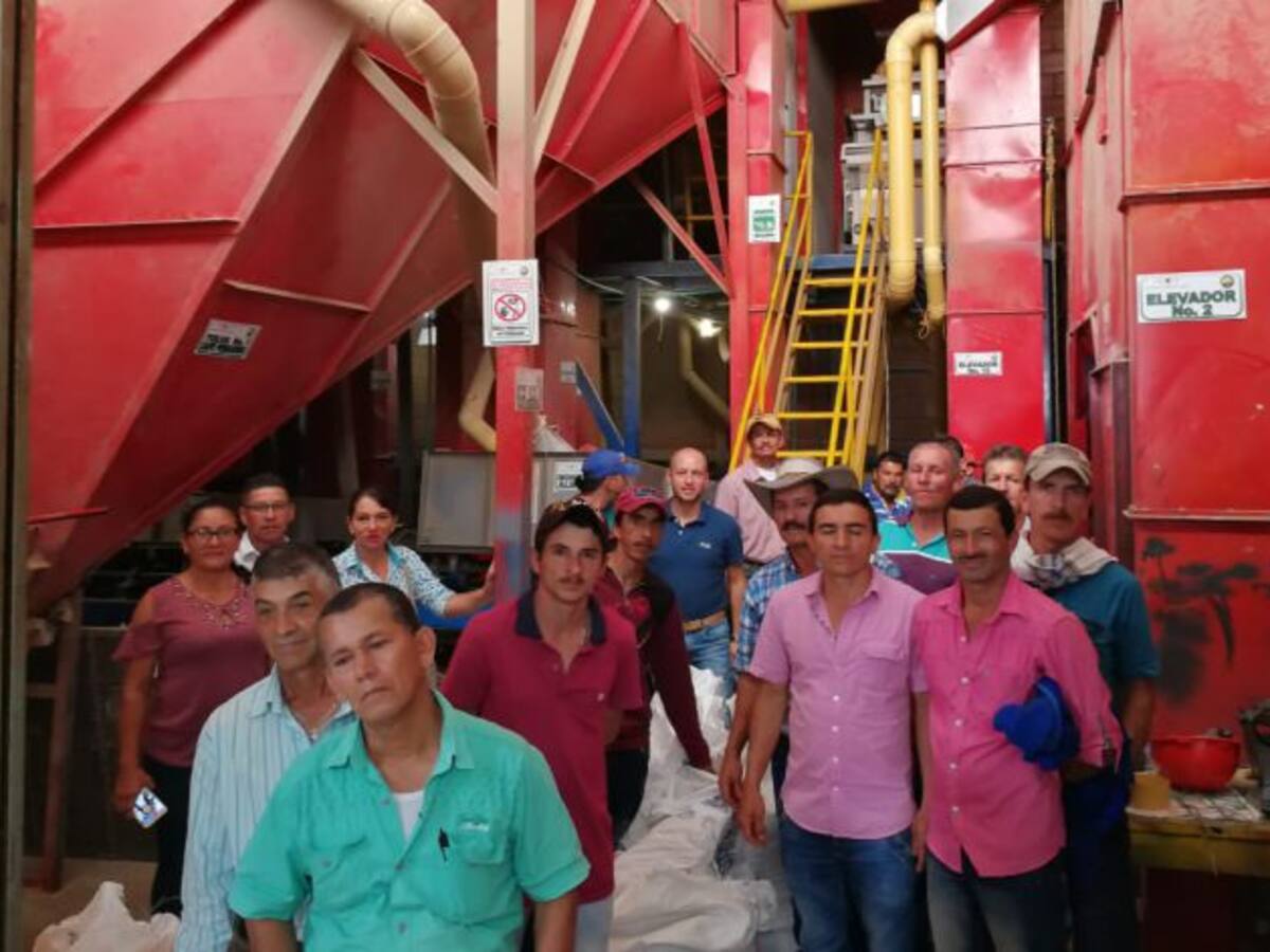 Cafeteros de Herveo, ejemplo de trabajo en busca de la excelencia