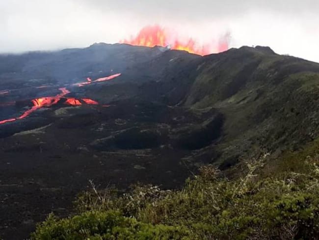 Descartan afectación a tortugas gigantes por erupción de volcán en Galápago