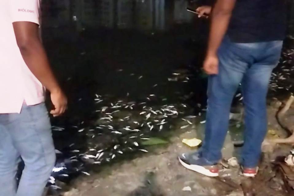 Investigan muerte de peces en caño Juan Angola, a la altura del sector La Unión