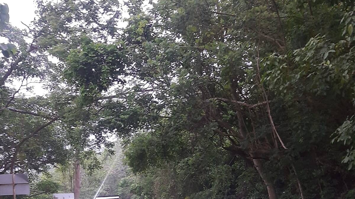 La vía Juan de Acosta – Tubará continúa bloqueada