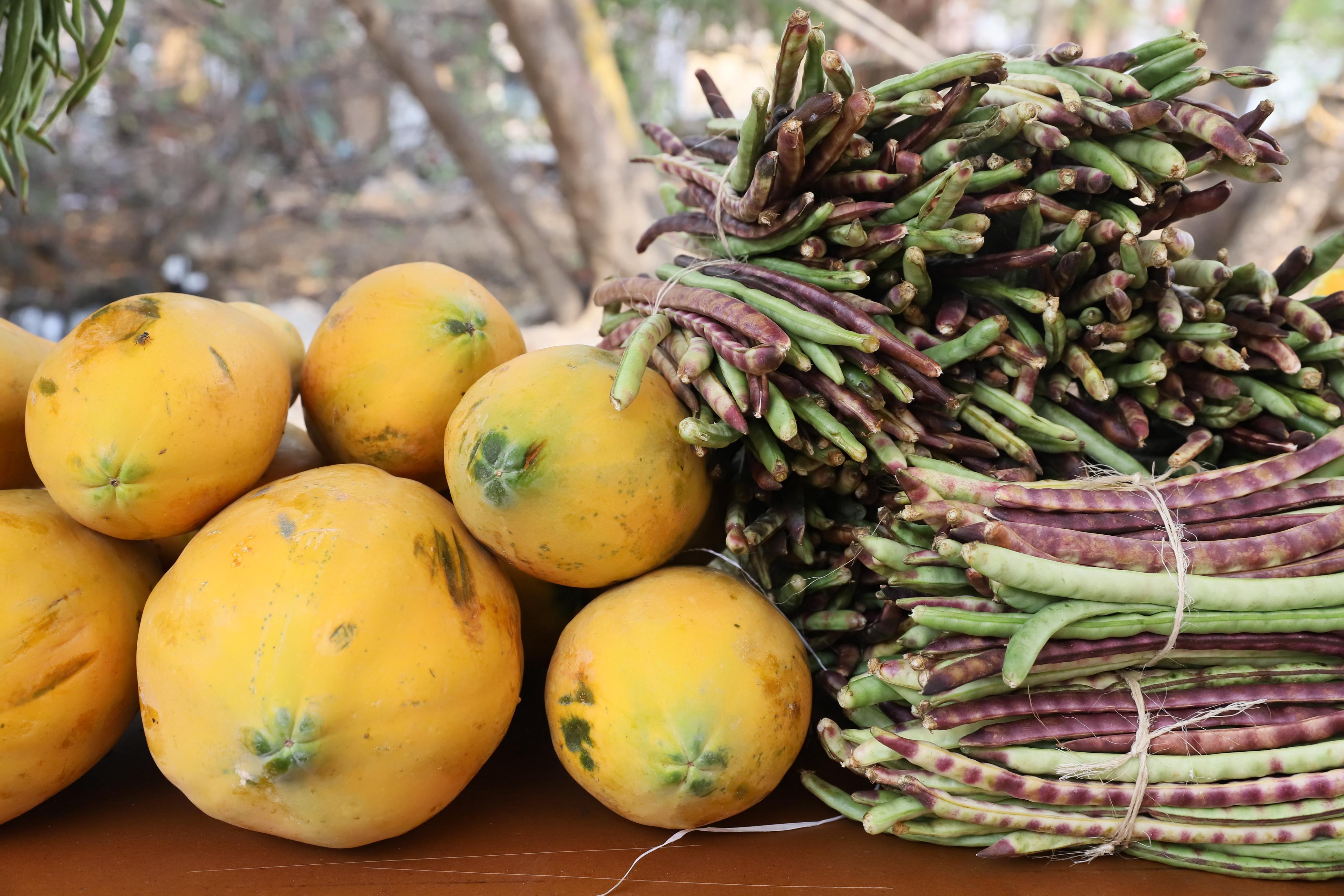 Gobernación de Bolívar