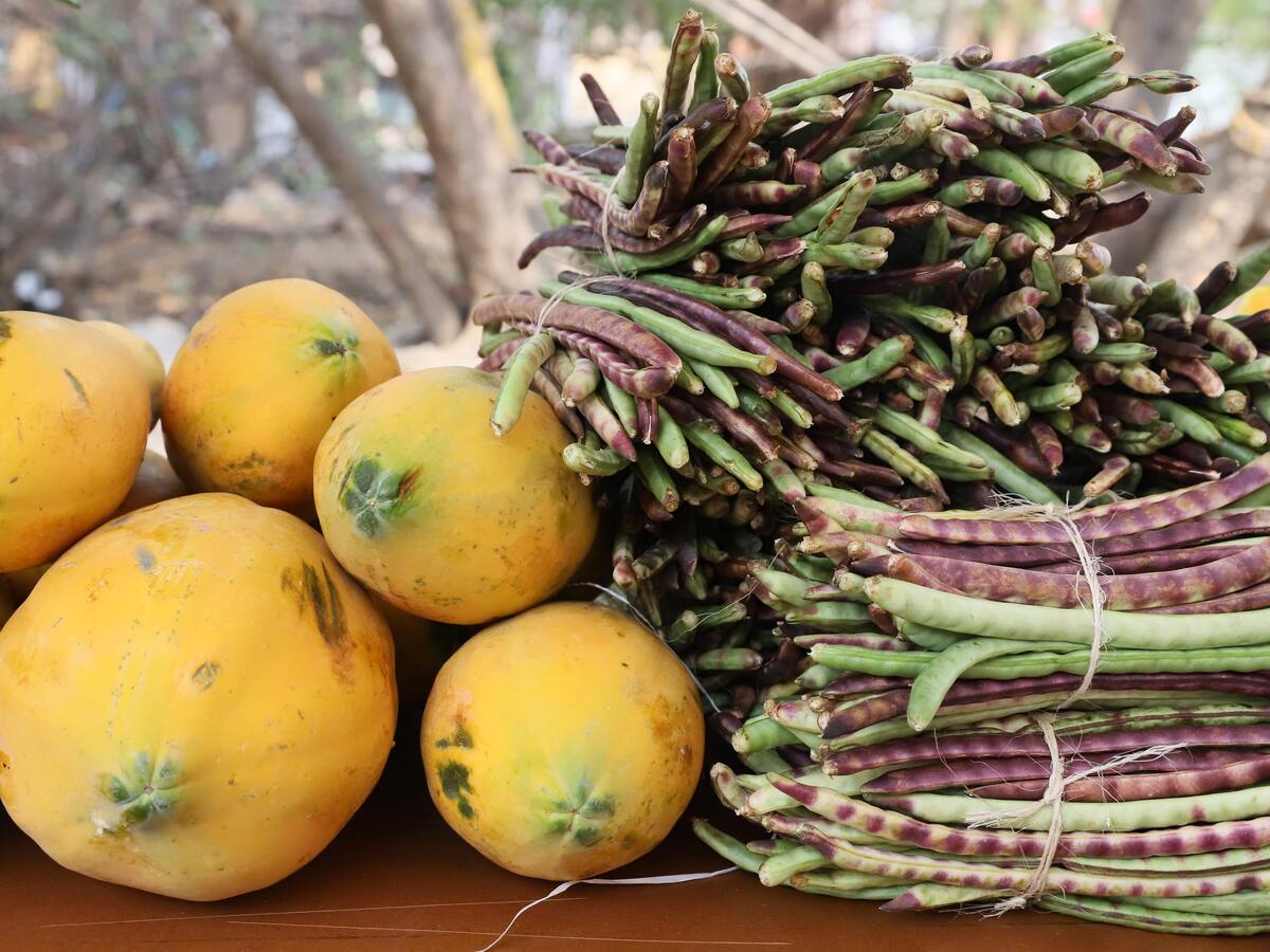 Asistencia masiva y ventas en alza durante Merca Bolívar: participan 45 asociaciones campesinas