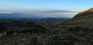 Zona de recuperación de bosques en Charalá