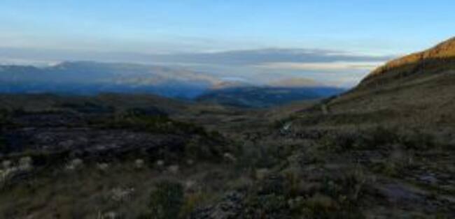 Zona de recuperación de bosques en Charalá