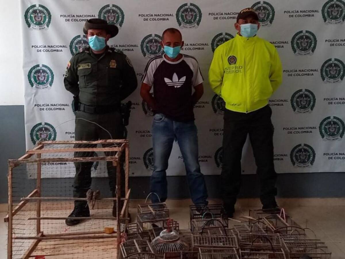 Cayó alias ‘El Malparido’ con 50 aves silvestres en El Carmen de Bolívar